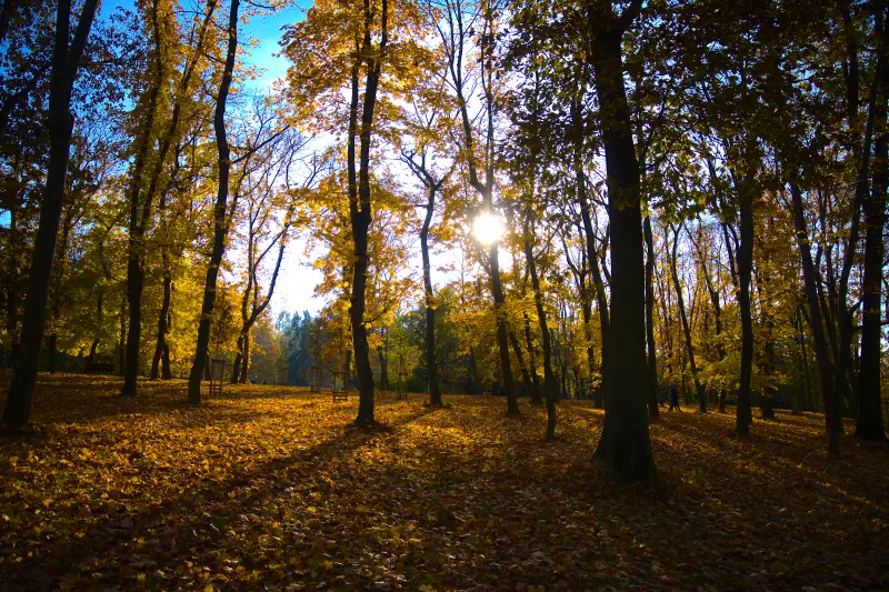 Photo from 2021/10/31