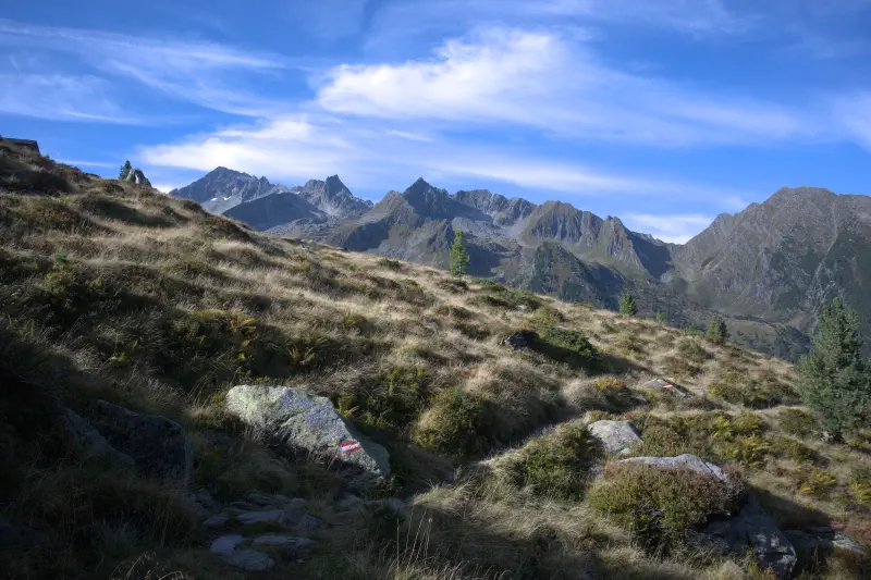 Photo from 2024/07/09