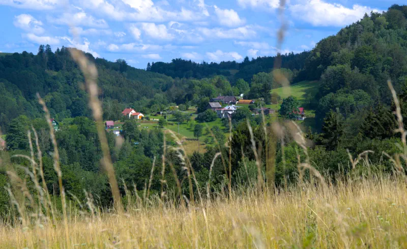 Photo from 2024/07/22