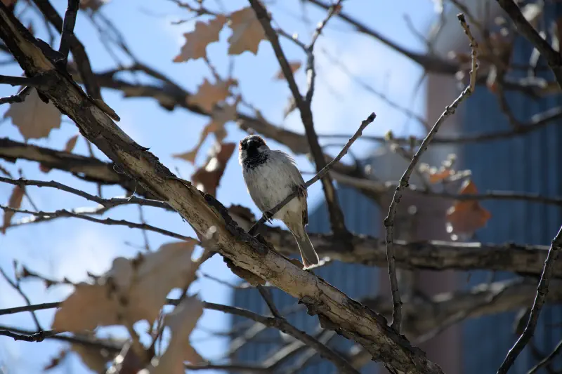 Photo from 2024/07/29