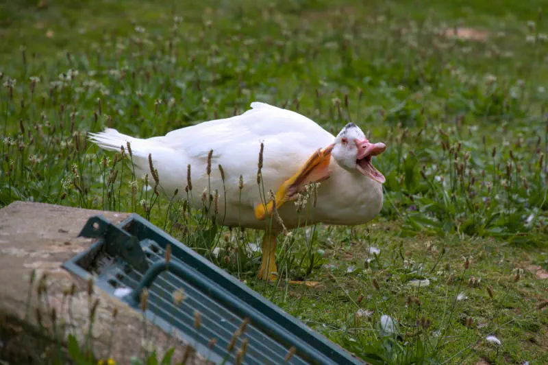 Photo from 2024/08/22