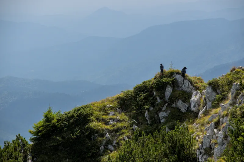 Photo from 2024/09/05