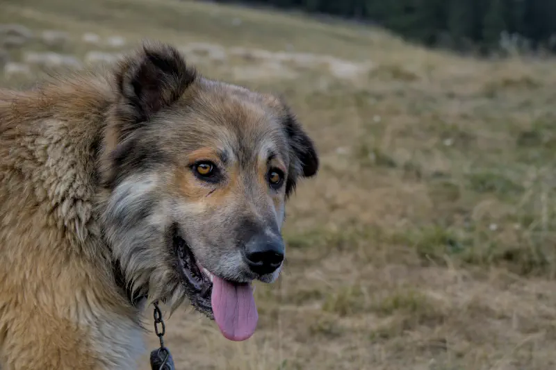 Photo from 2024/09/08