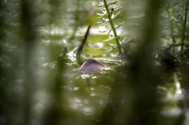 Photo from 2024/09/10