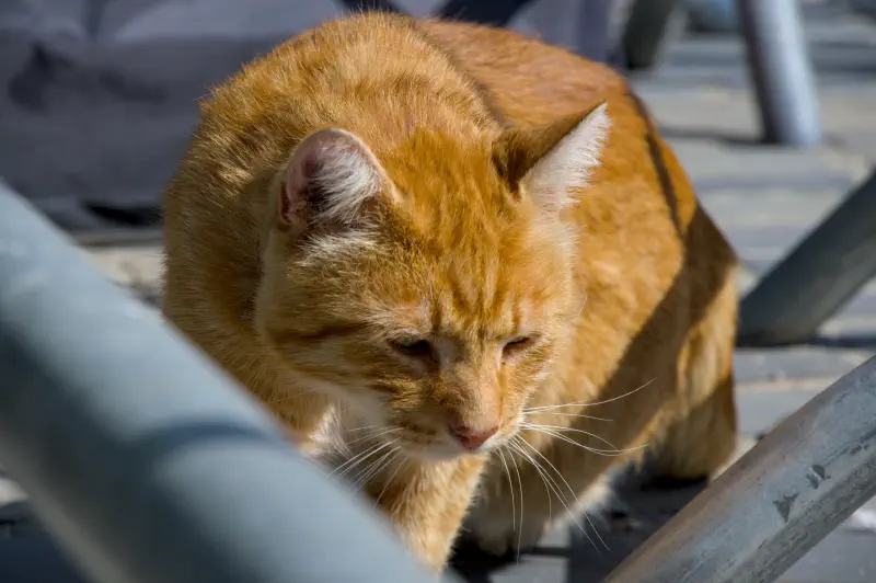 Photo from 2024/09/12