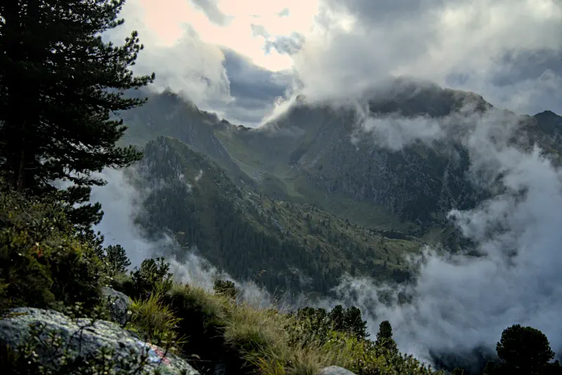 Photo from 2024/09/21