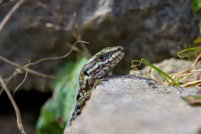 Photo from 2024/10/31
