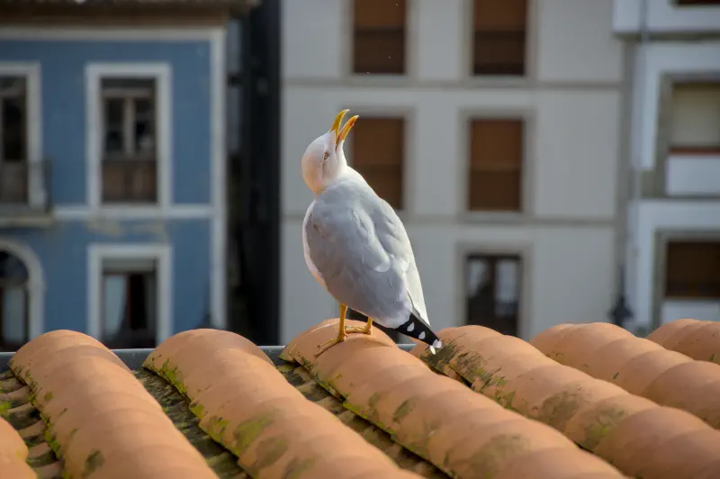 Photo from 2024/11/10