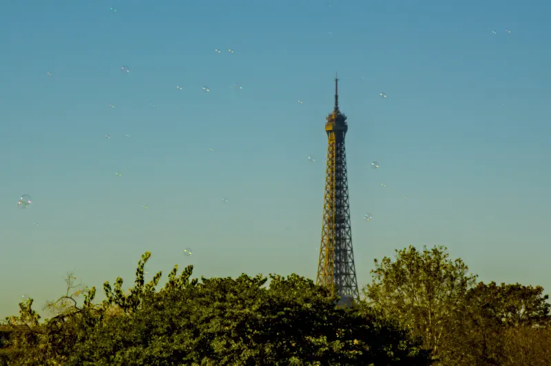 Photo from 2024/11/14