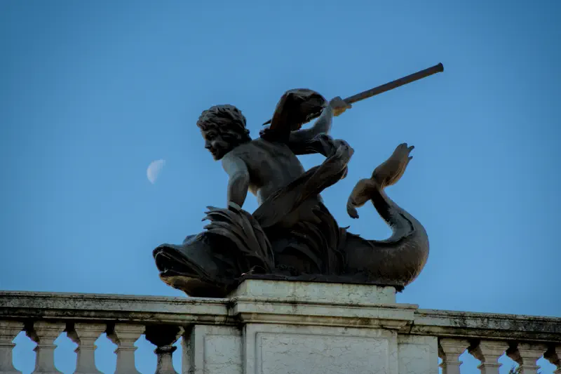 Photo from 2024/11/17