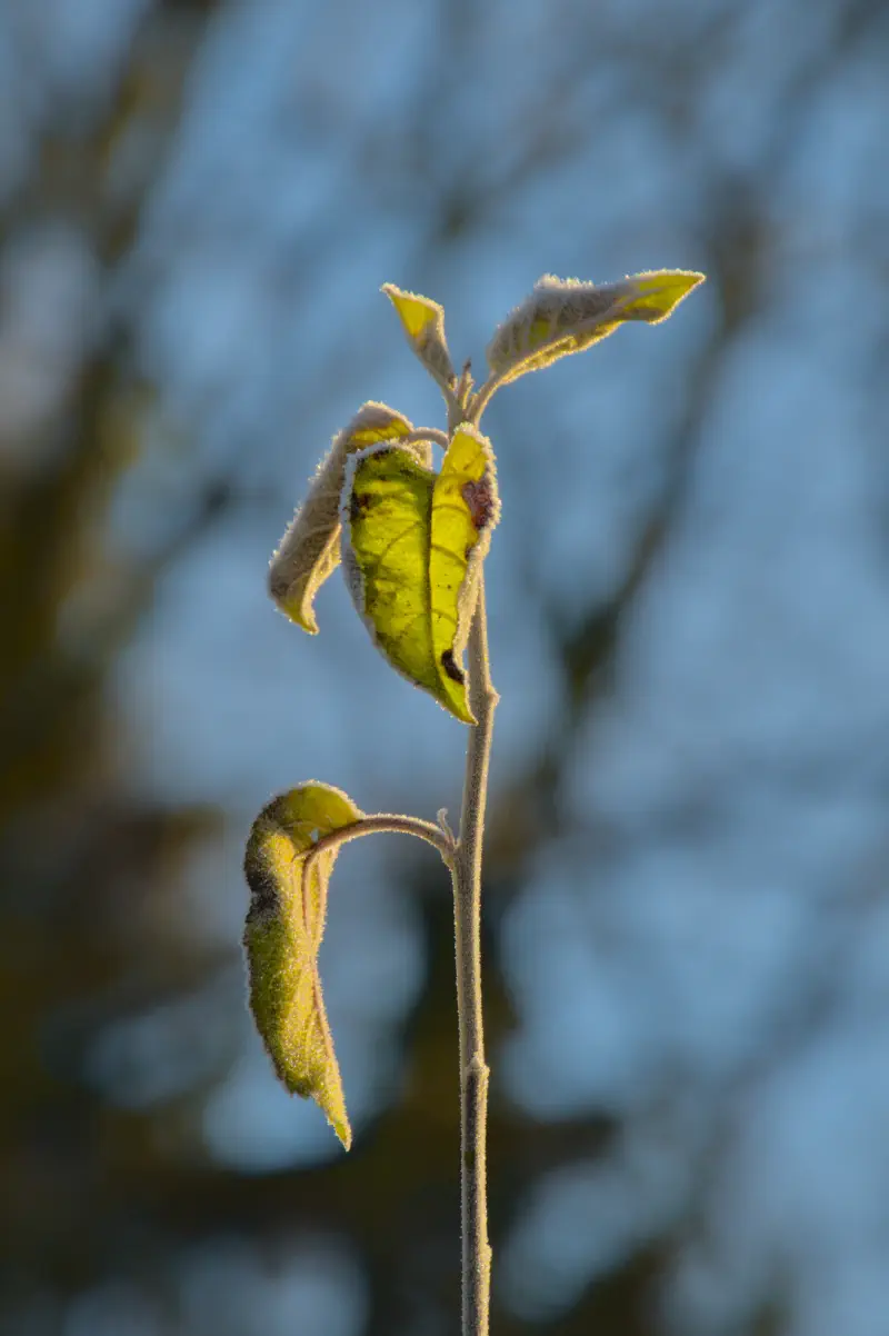 Photo from 2024/12/30