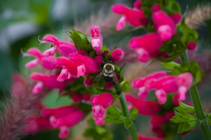 Photo from 2025/08/19