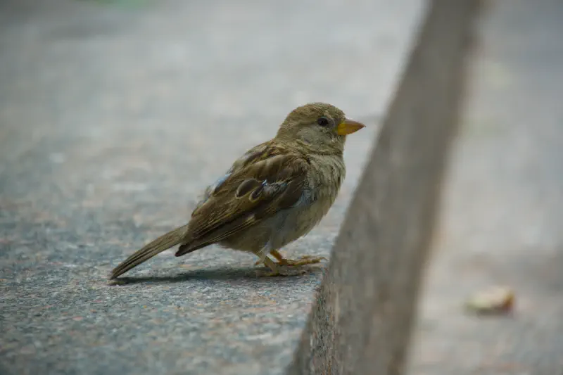 Photo from 2025/08/19