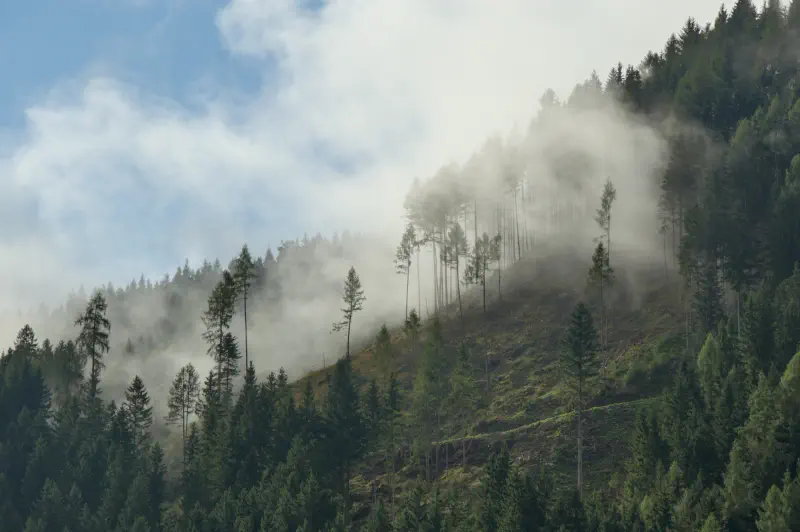 Photo from 2025/09/12