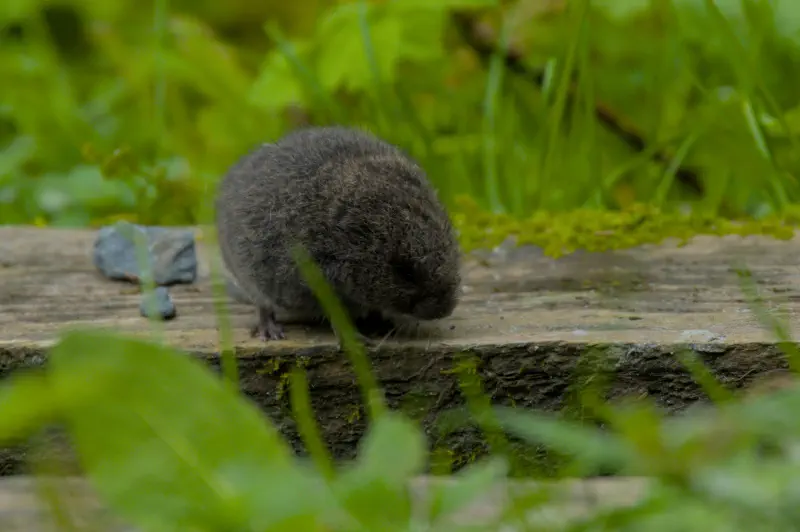 Photo from 2025/09/13